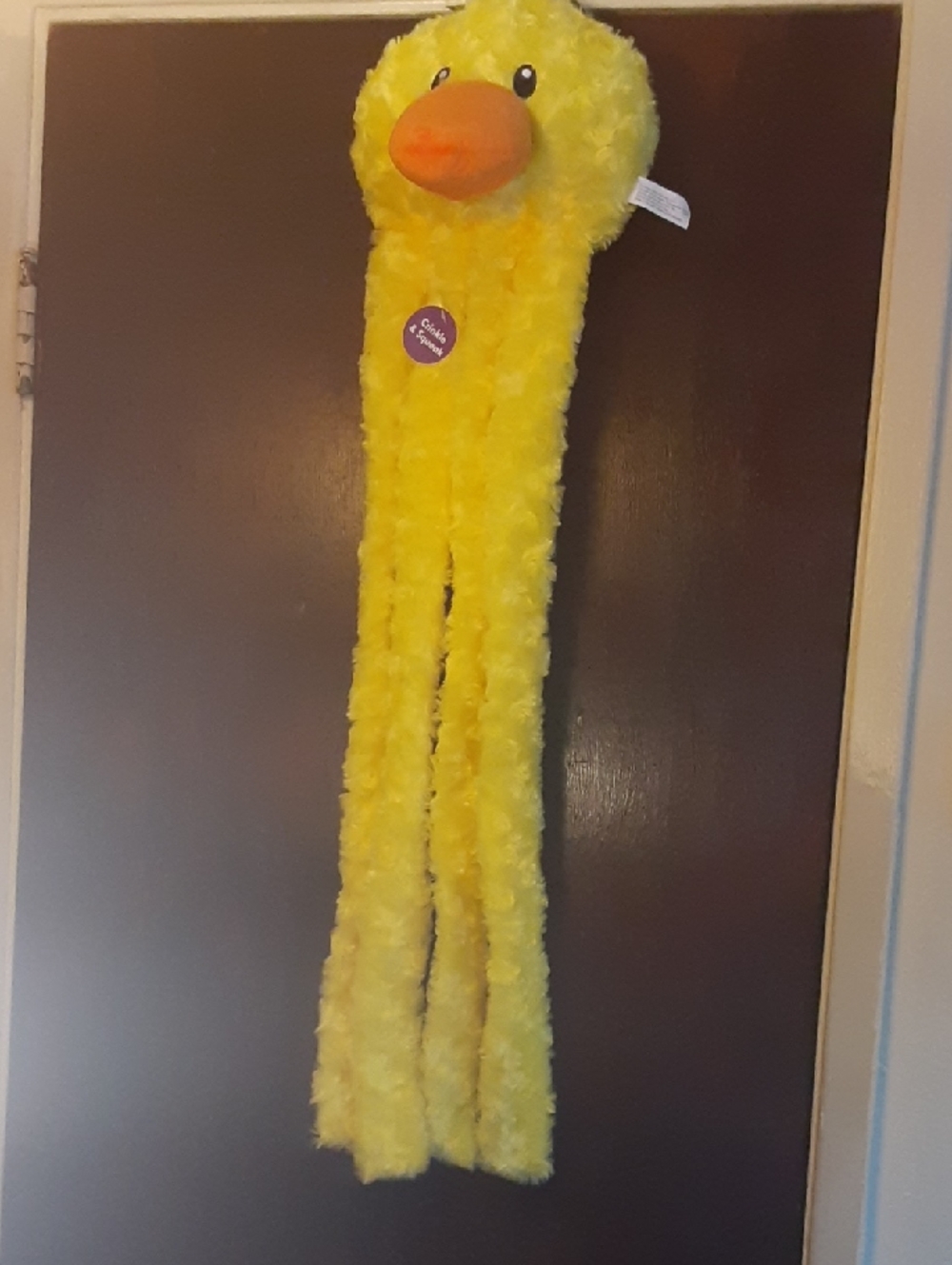 Squeaky Plush Dog Toy Yellow